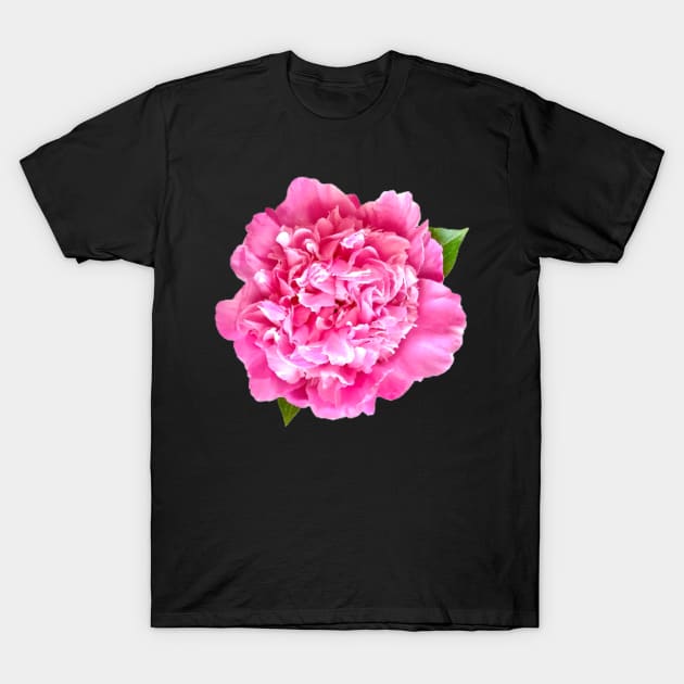 Pink Peony Close-up with Leaves T-Shirt by InalterataArt
